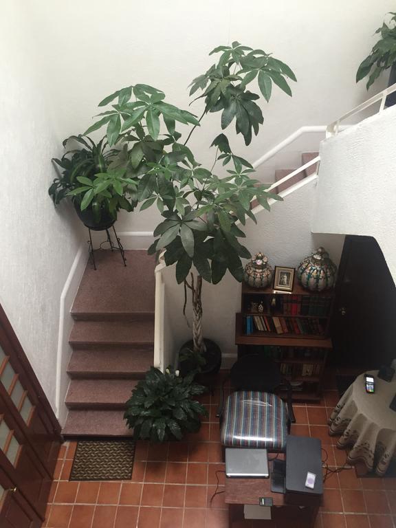 فندق Casa Maria Elena Condesa (Adults Only) مدينة مكسيكو المظهر الخارجي الصورة