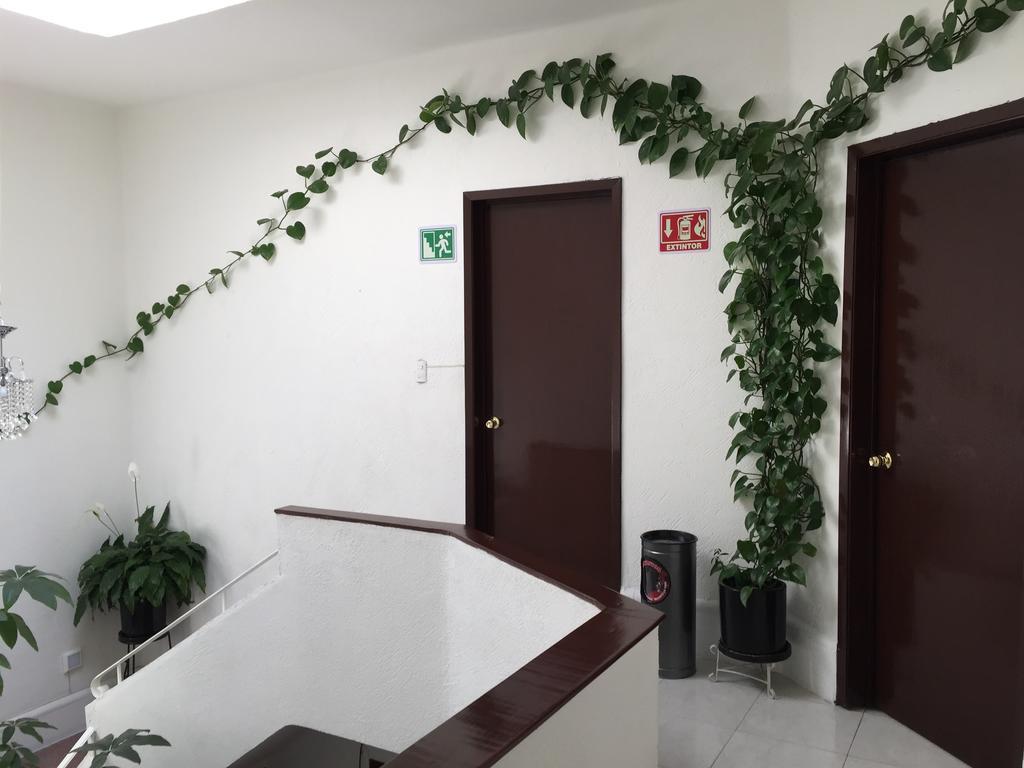 فندق Casa Maria Elena Condesa (Adults Only) مدينة مكسيكو المظهر الخارجي الصورة