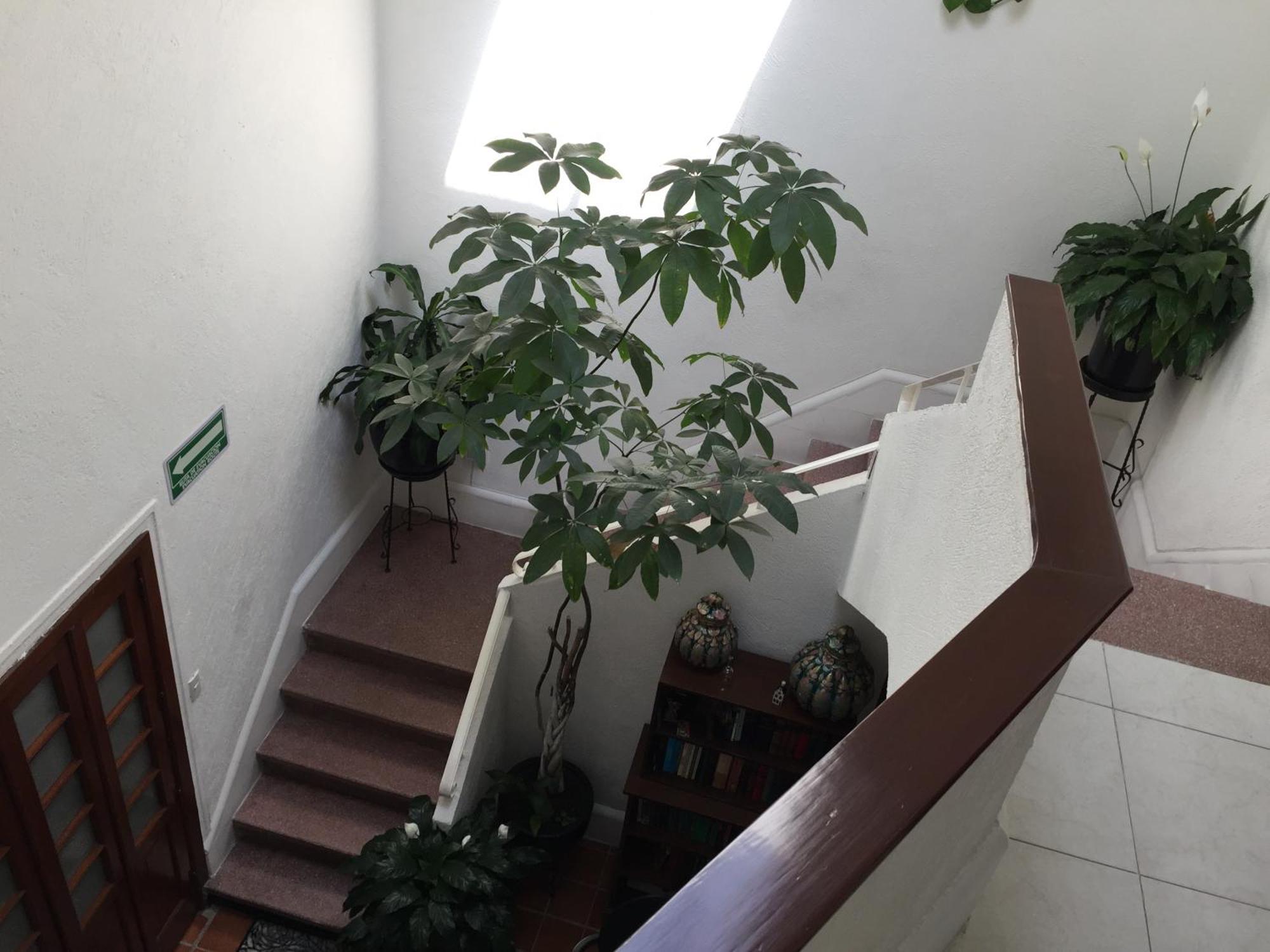 فندق Casa Maria Elena Condesa (Adults Only) مدينة مكسيكو المظهر الخارجي الصورة