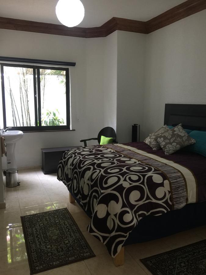فندق Casa Maria Elena Condesa (Adults Only) مدينة مكسيكو المظهر الخارجي الصورة